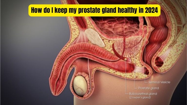 How do I keep my prostate gland healthy in 2024