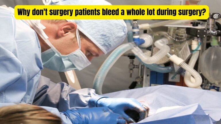 Why don't surgery patients bleed a whole lot during surgery